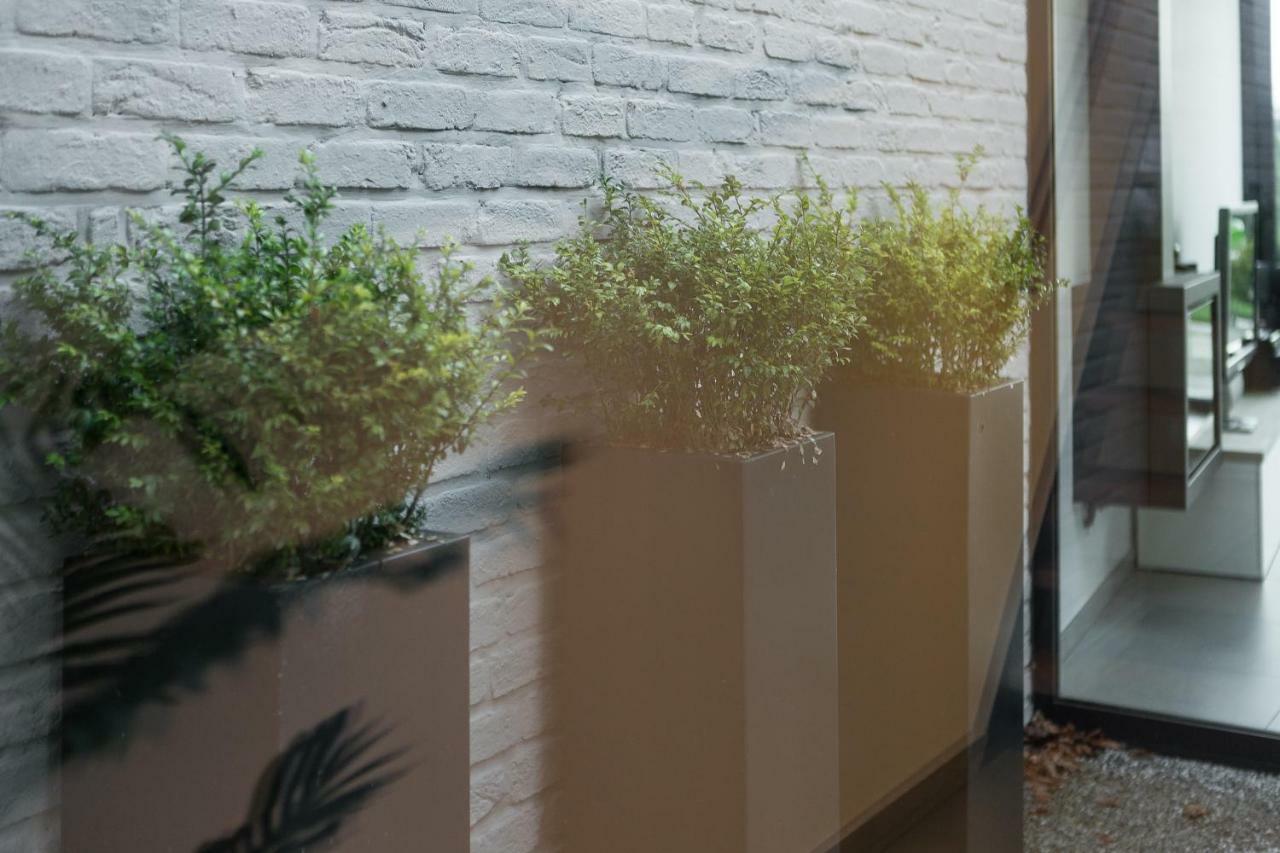 Sky & Sand 2 - Free Parking - Free Bikes - Evcharging Brugge Eksteriør bilde